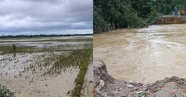 ফেনীতে বন্যায় কৃষিখাতে ক্ষতি ৯১৪ কোটি টাকা