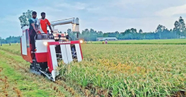 আগামী সাত বছরের মধ্যে শস্য রোপণ, কর্তন ও সংরক্ষণে ৪০ শতাংশ যন্ত্র