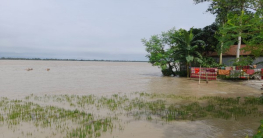 নীলফামারীতে তিস্তার পানি বৃদ্ধি, বিপদসীমার কাছ দিয়ে প্রবাহিত